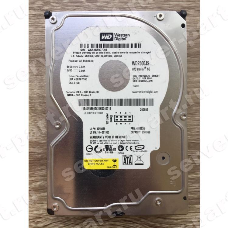 Жесткий Диск Western Digital Caviar SE 250Gb (U300/7200/8Mb) SATAII(WD2500JS-22NCB1)