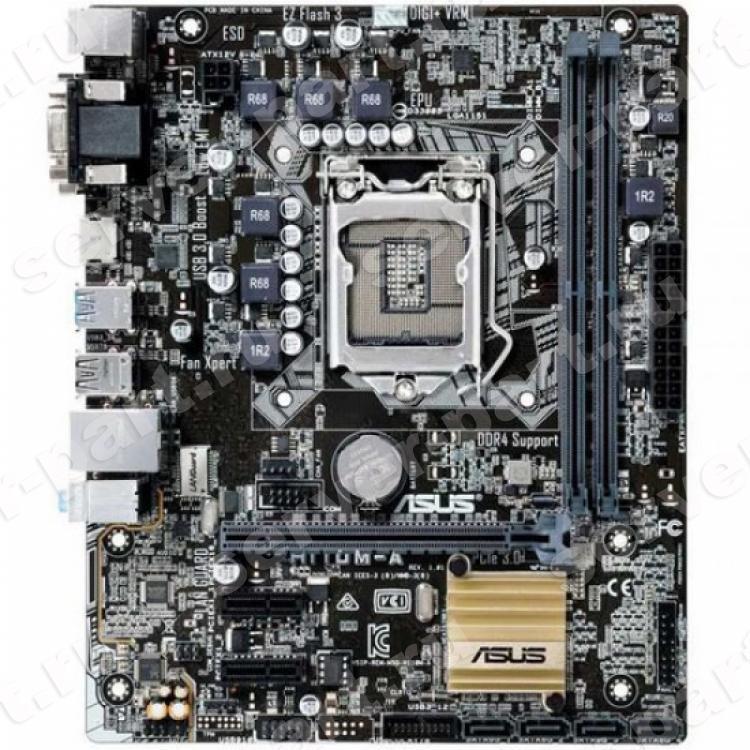 Asus h110md online